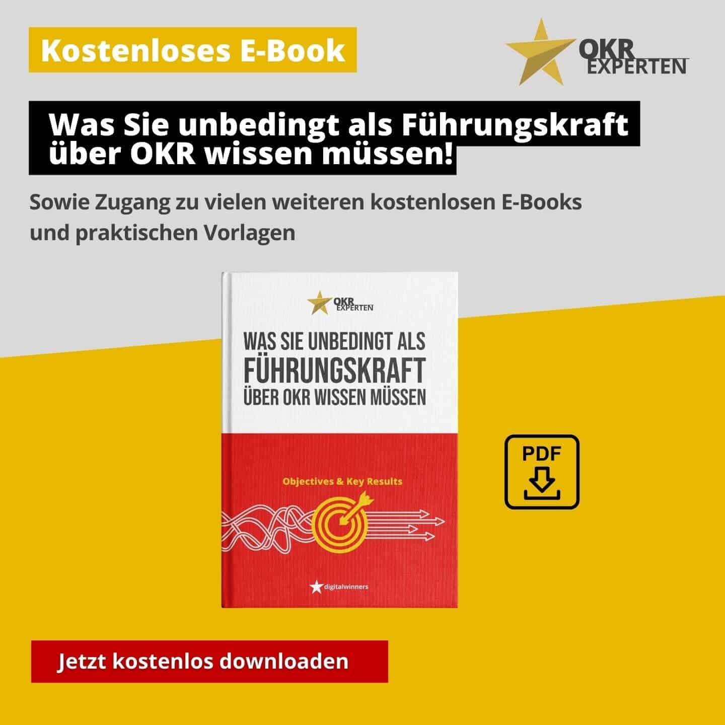 OKR E-Book